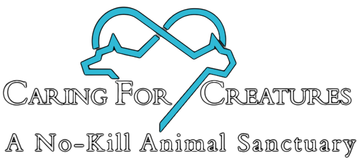 Image of person volunteering