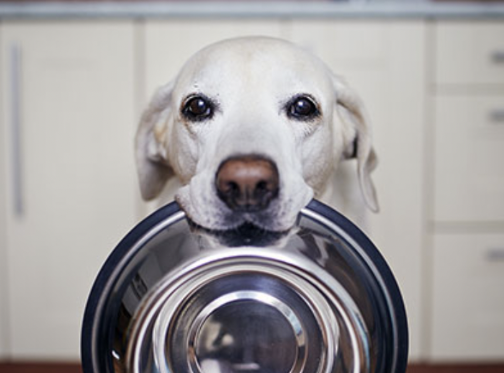 Image of person with a new house